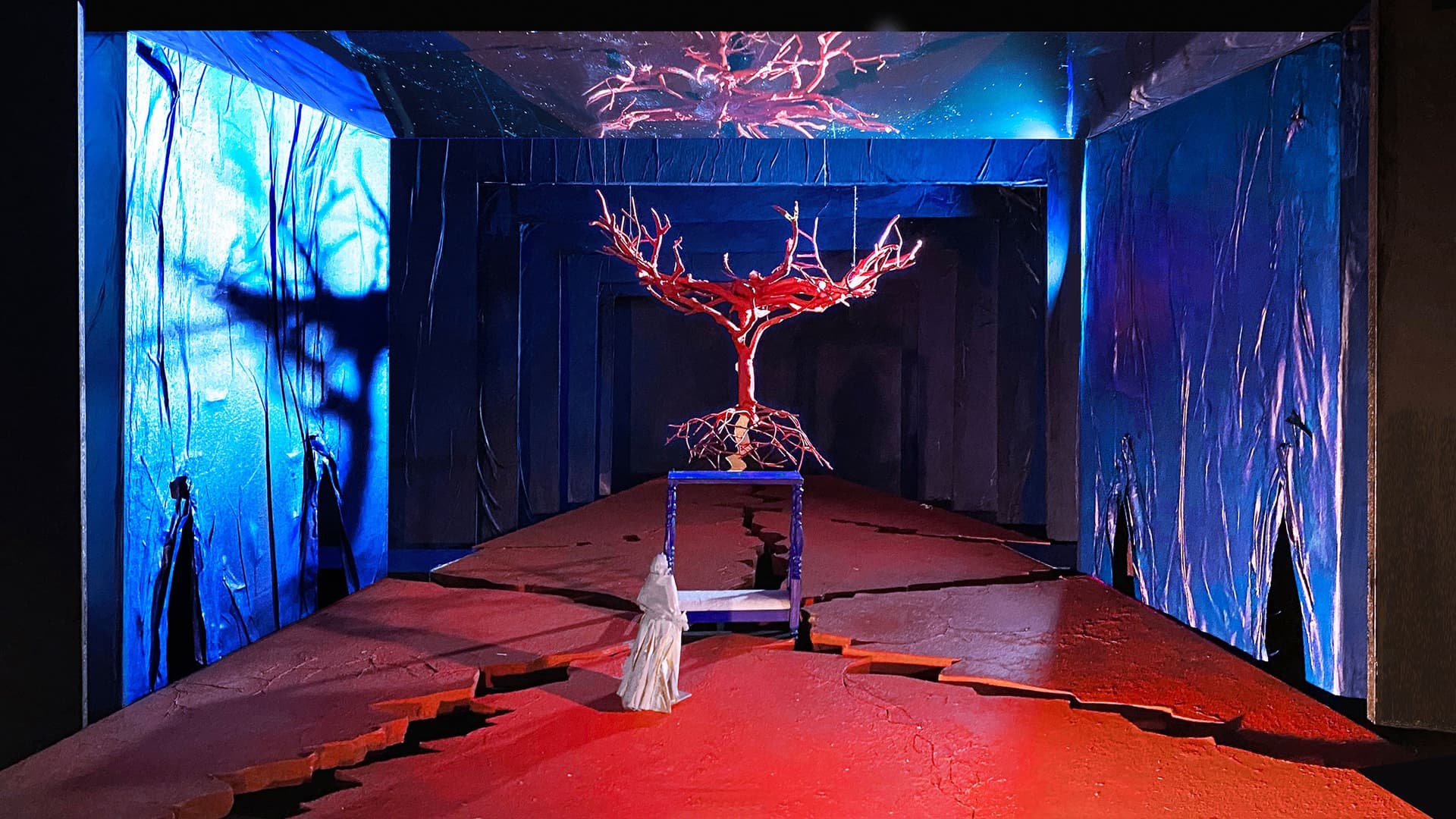 Ópera MET El Último sueño de Frida y Diego