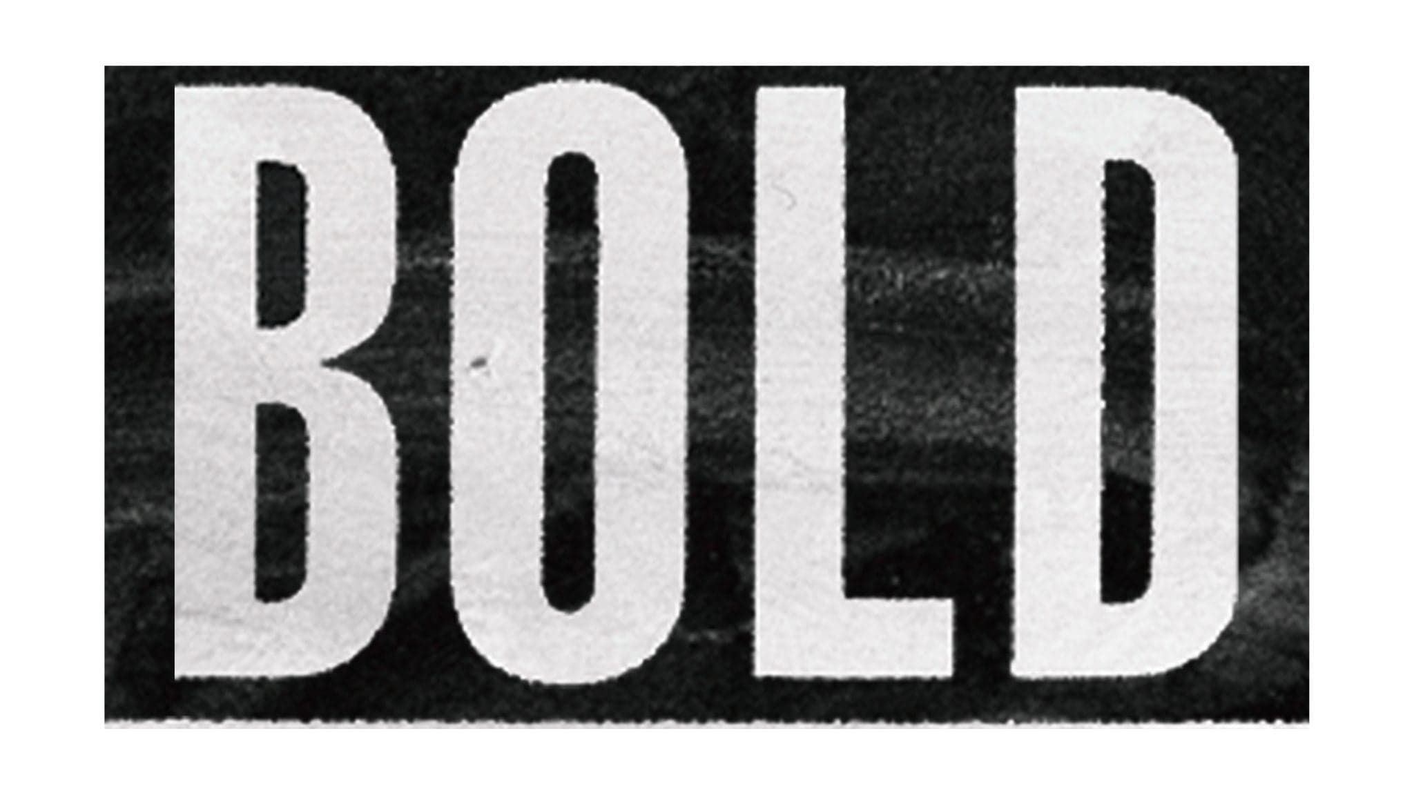 BOLD + Guests