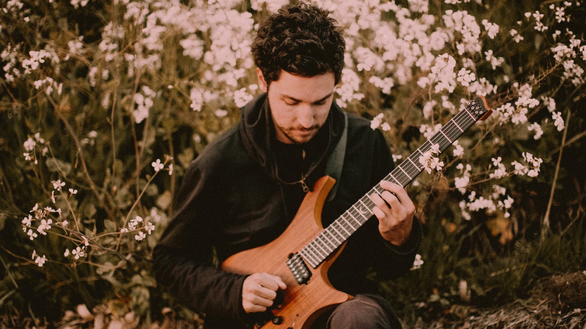 Plini + Sungazer