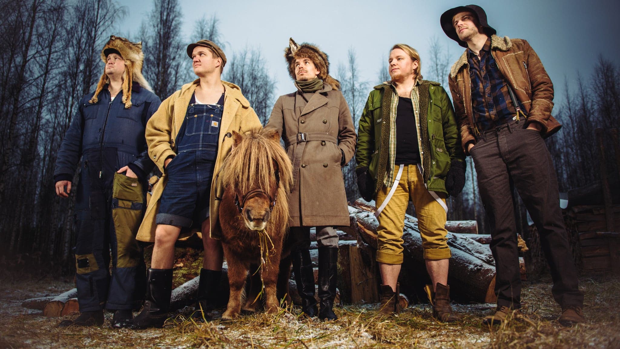 STEVE 'N' SEAGULLS
