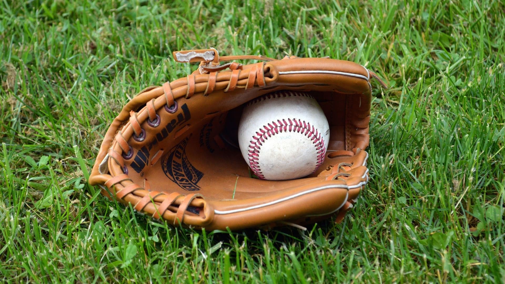 Liga Mexicana de Béisbol (LMB)